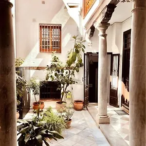 Charming Spacious Albayzin Apartment Granada